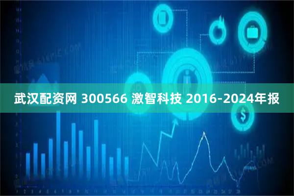 武汉配资网 300566 激智科技 2016-2024年报
